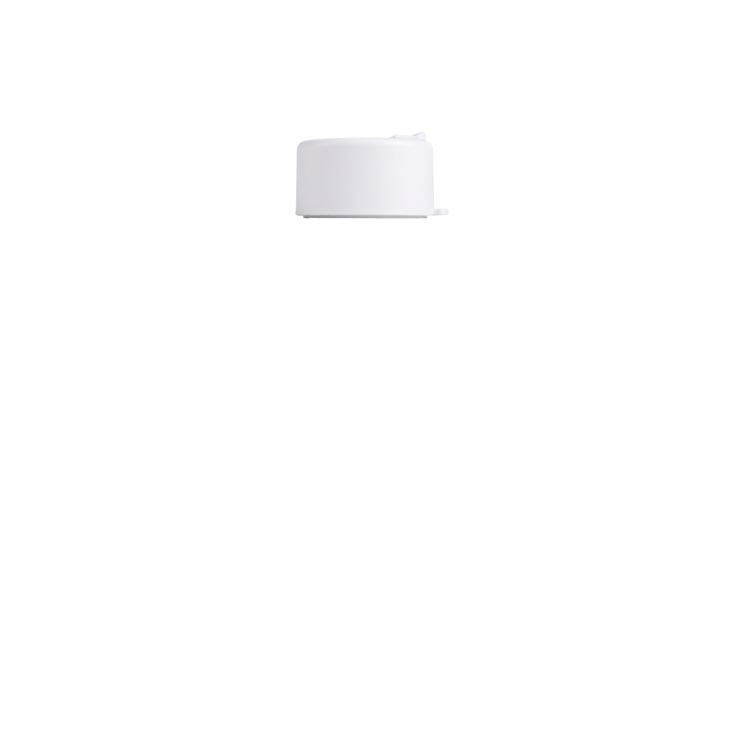 Cotton