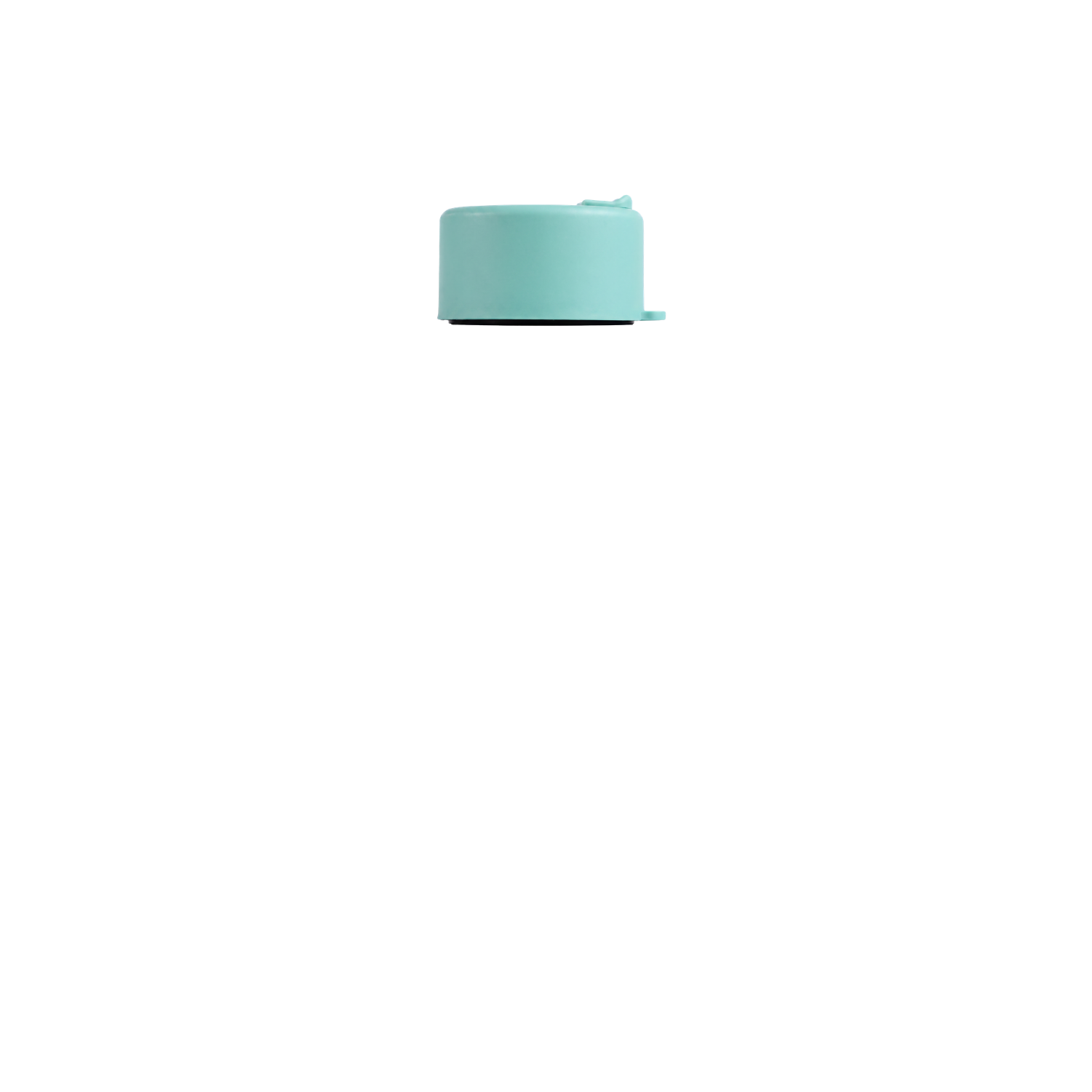 Cool Mint